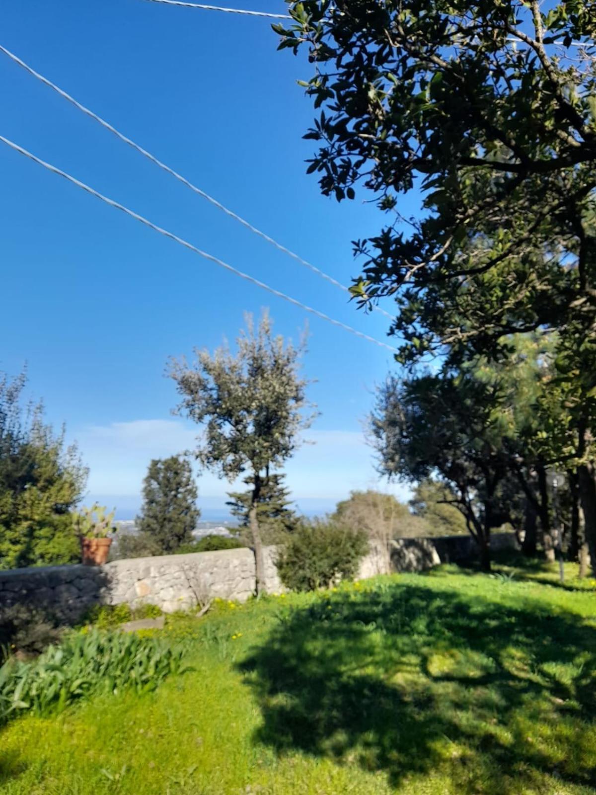 Casa Gio' Gio' Appartement Selva Di Fasano Buitenkant foto